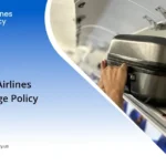 Delta Airlines Baggage Policy