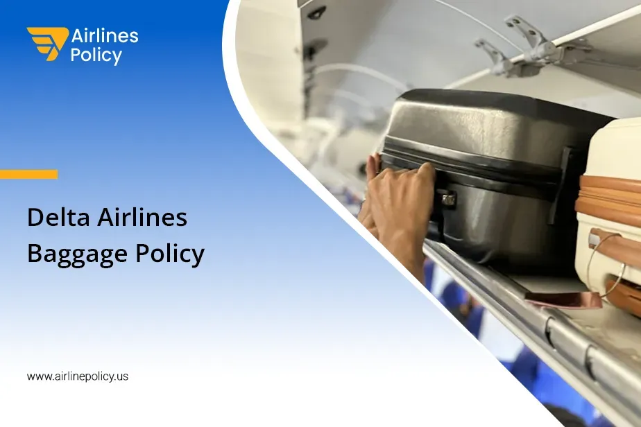 Delta Airlines Baggage Policy