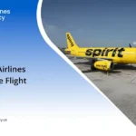 Spirit Airlines Change Flight